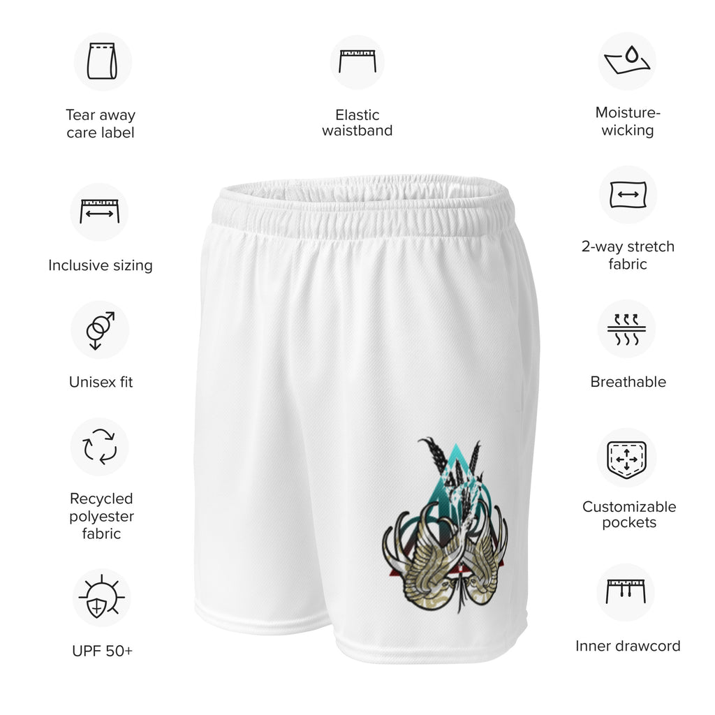 Abundance | unisex mesh shorts