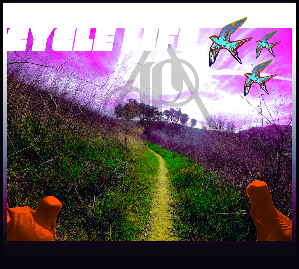 Cycle Life | unisex cotton t-shirt